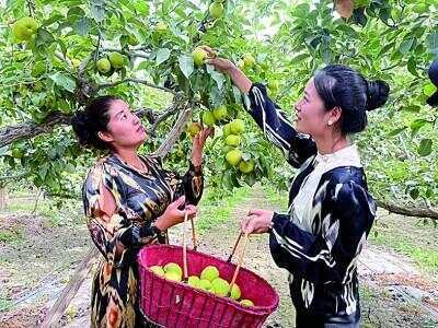 皇冠信用盘会员账号_在新疆皇冠信用盘会员账号,一路风景一路歌