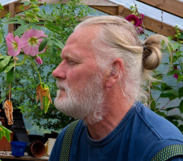 皇冠信用網代理登3_两只雌蚊和一只雄蚊被发现皇冠信用網代理登3，全球最后一个无蚊国冰岛“沦陷”