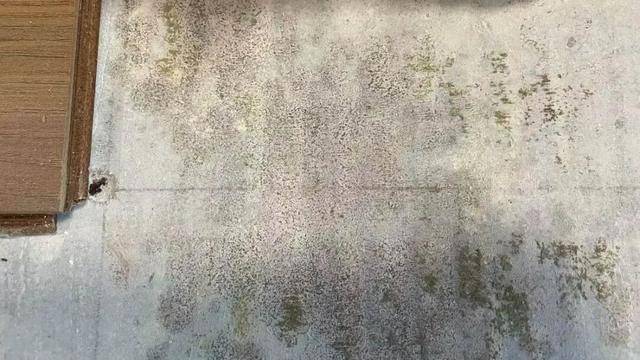 皇冠信用网平台
_河南郑州保利一小区超两百户精装房成“霉菌房” 皇冠信用网平台
,家里一股霉味